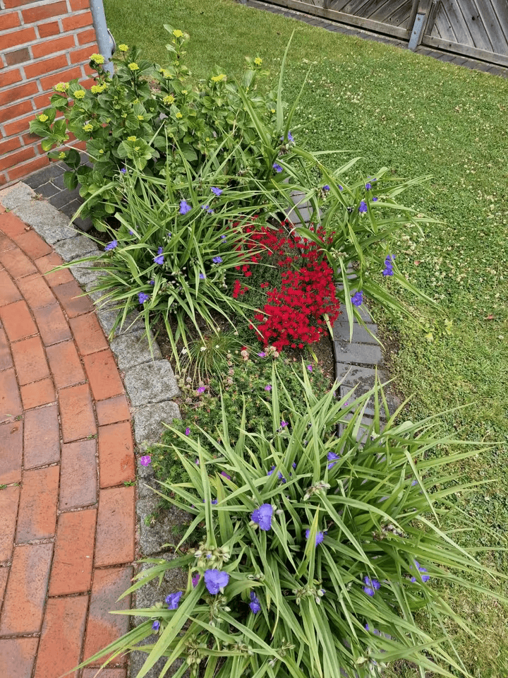 Gepflegte Gartenfläche nach Gartenarbeit in Uetersen
